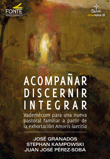 Acompañar, discernir, integrar